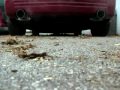 SkullV's CTS-V with K&N CAI, Kook's, High Flows, Magnaflow w/X-pipe, New LS7 Clutch/Flywheel