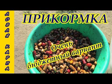 наживка на карася керосин наживка на карася керосин