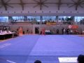 european wushu championships 2008 Poland