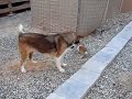 friendship-and-survial-part-1.html