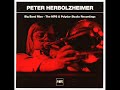 peter herbolzheimer - hipp walk