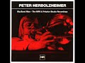 peter herbolzheimer - hipp walk