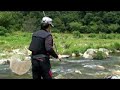 兵庫県養父市大屋町の大屋川で鮎釣りをする鮎釣り名人。