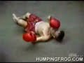 fighting midgets