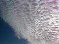 長岡市上空！凄い鱗雲（斑雲）２００７年９月２４日（月）