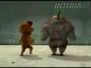 funny animels (cartoon) funny animels (cartoon)