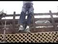 Of Unknown Origin Trailer