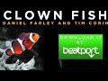 Daniel Farley and Tim Corin - Clownfish - Original Mix