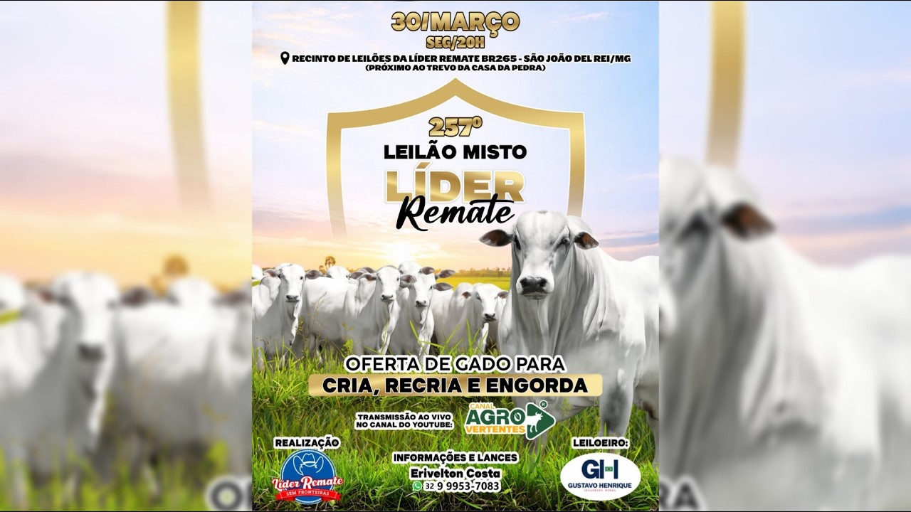 257º LEILÃO MISTO LÍDER REMATE - SÃO JOÃO DEL REI/MG - 30/03/2026