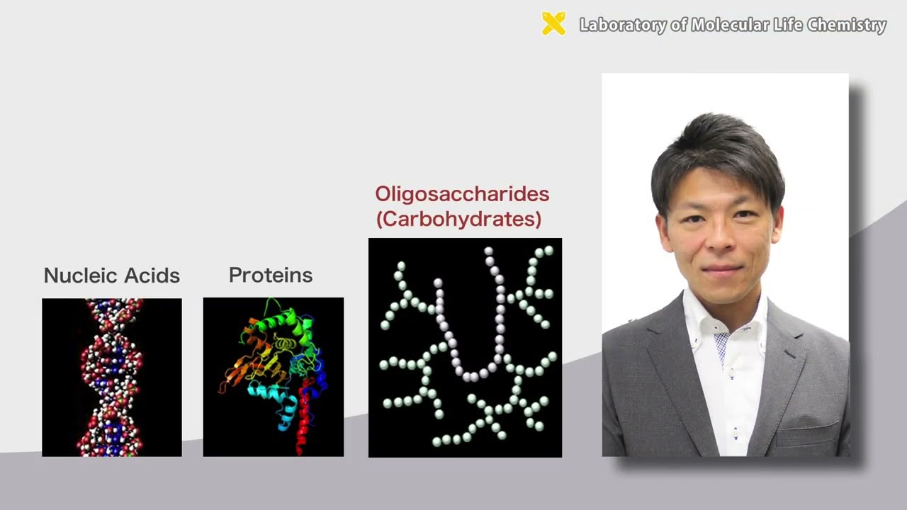 Daisuke Takahashi Department of Applied Chemistry　School of Fundamental Science and Technology