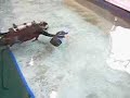 250W Dolphin Sea Scooter