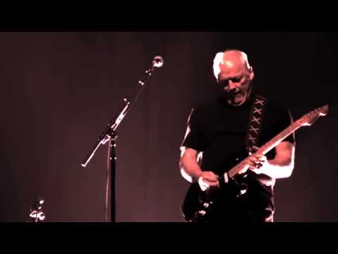 Pink Floyd - Comfortably Numb - Roger Waters and David Gilmour