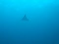 Kandooma Beru @ Maldives