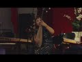 Chinese Music Pipa by Betty Zhang