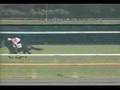 AinesuFujin-Japan Derby