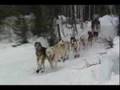 2008 Iditarod Trail Entering Long Lake