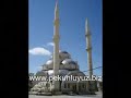 Pekun resimler 2 Pekun resimler 2