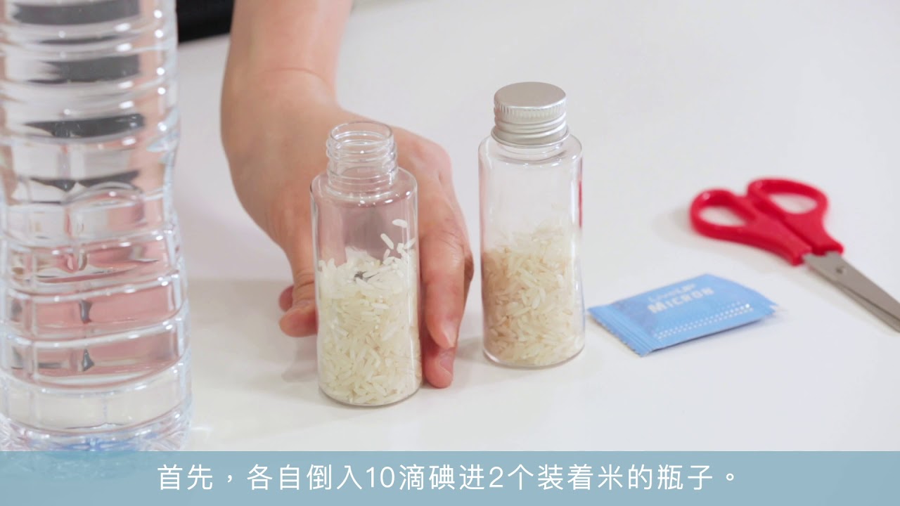Micron- rice test (antioxidant)