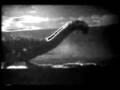 videos de feed the animals
