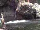 Malibu Creek Gainers