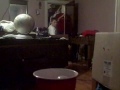 extreme beer pongin