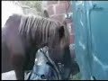 Vandal�s Saddle Story