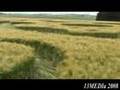 Avebury Ridgeway UK Crop Circle New on the 15th June 2008
