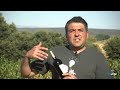 Ven y Vino -Cap. 2- Vinos de Pago 