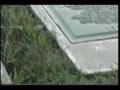  - MovieZen Video