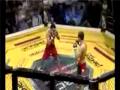 sick mma knockout