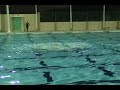 Aruba Synchro Team 2007