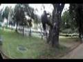 videos de PKMAX - 2008 Abr - Nose 1'