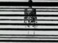 Skank Sinatra - Barcoded (Blynky Remix) RMD