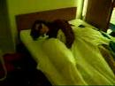 raar laken @ formule 1 hotel, Gent