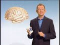tout le monde connait la publicit� de l'entrainement cerebral sur nintendo ds avec nicole kidman mais connaissez vous la toute premiere version publicitaire de ce jeu avec mac lesggy c�l�bre animateur de m6 ?non ?
eh bien voil� qui est r�par�.