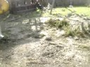 Aftermath of Gustav at the Awasthi Mansion Part 1 Aftermath of Gustav at the Awasthi Mansion Part 1