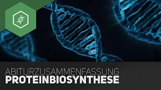 Proteinbiosynthese Komplette Zusammenfassung fürs