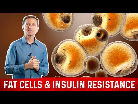 Losing Weight and Insulin Resistance – Quackarium