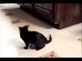 zoe playing 2