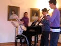 a  vivaldi concerto in re minore per due oboi