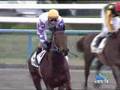2008年2月17日 京都1R 3歳未勝利 ペプチドアトム
