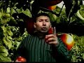 El tomatero