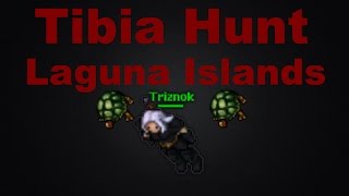 Download Now Tibia Hunt: Laguna Island Tortoise Caves 