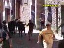 Encierros