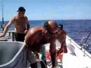 tuna fishing lewes deleware