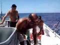 tuna fishing lewes deleware