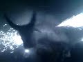 toro-gigante-de-polvora-en-tejaro.html