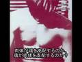 スティルイル-ザ・スミス(J-SUB日本語訳詞)
