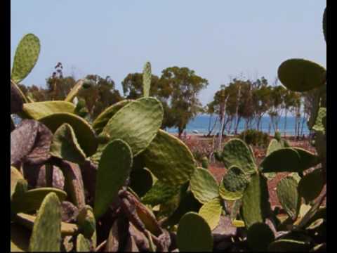 0 Playa de los Genoveses