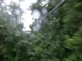 videos de Michele's Ziplining @ Arenal,Costa Rica
